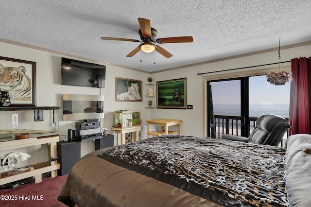 bedroom with access to exterior, crown molding, and a textured ceiling