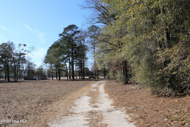 view of road with driveway