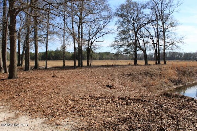 view of local wilderness