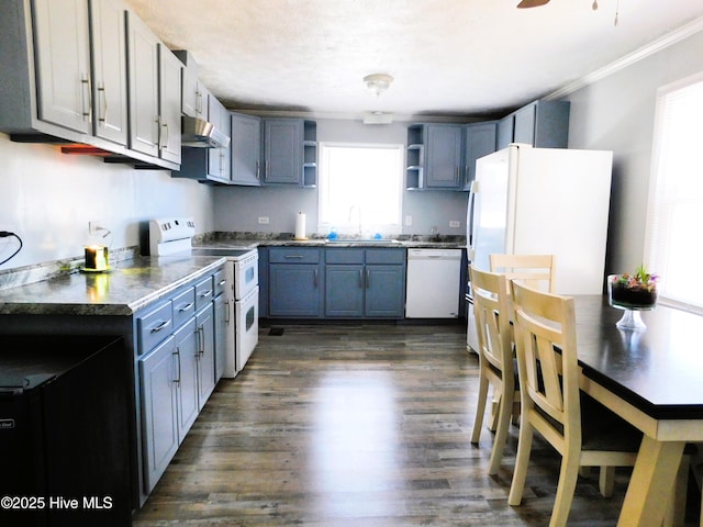 kitchen featuring white appliances, dark wood-style flooring, a sink, ventilation hood, and open shelves