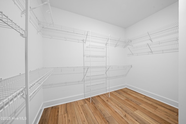 spacious closet with hardwood / wood-style floors