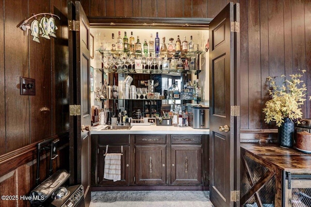 bar featuring wooden walls, a sink, and wet bar