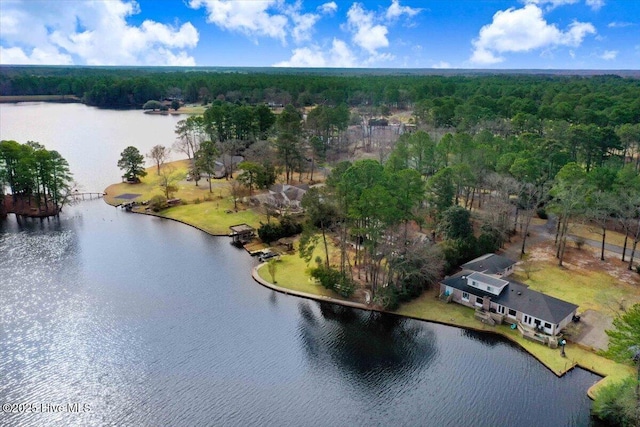 birds eye view of property with a water view and a forest view