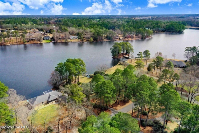 drone / aerial view featuring a water view and a forest view