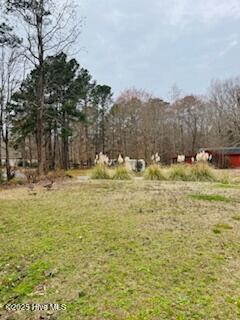 152 E Inlet Cir, Hertford, NC 27944 - view of yard