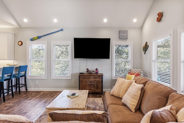 living area featuring lofted ceiling, plenty of natural light, and wood finished floors