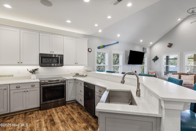 kitchen featuring lofted ceiling, dark wood-style flooring, a peninsula, stainless steel appliances, and a sink