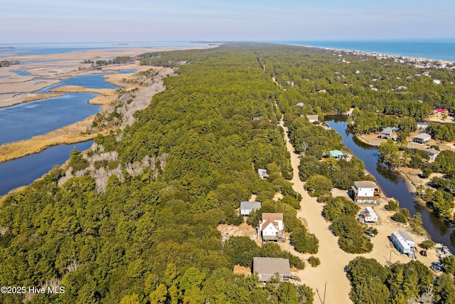 aerial view with a water view and a view of trees