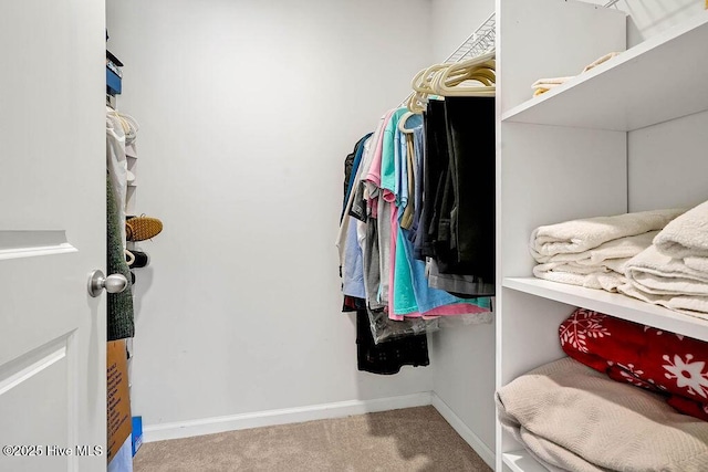 spacious closet with carpet floors