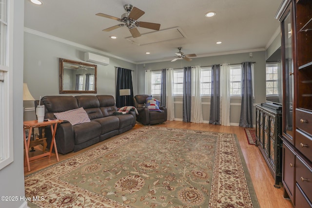 living area with attic access, a wall unit AC, crown molding, and light wood finished floors