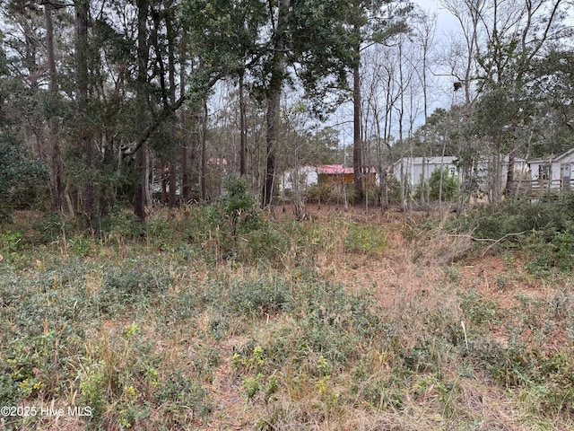 659 Brookneal St SE Unit 40, 41, Bolivia NC, 28422 land for sale