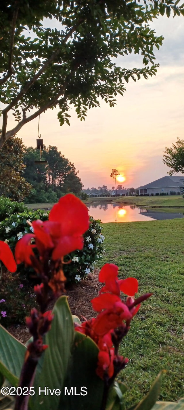 view of yard with a water view