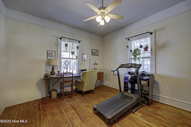 workout room featuring ceiling fan, wood finished floors, a wealth of natural light, and baseboards