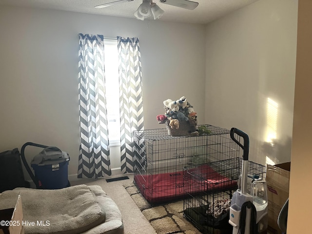 misc room with carpet flooring and ceiling fan