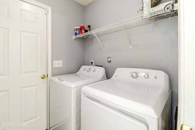 laundry room featuring laundry area and washer and clothes dryer