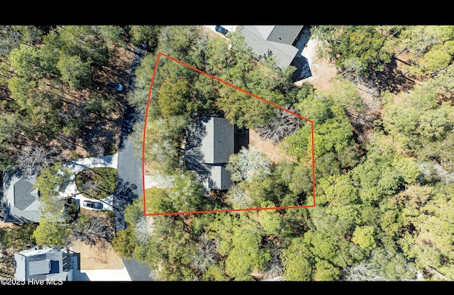 drone / aerial view