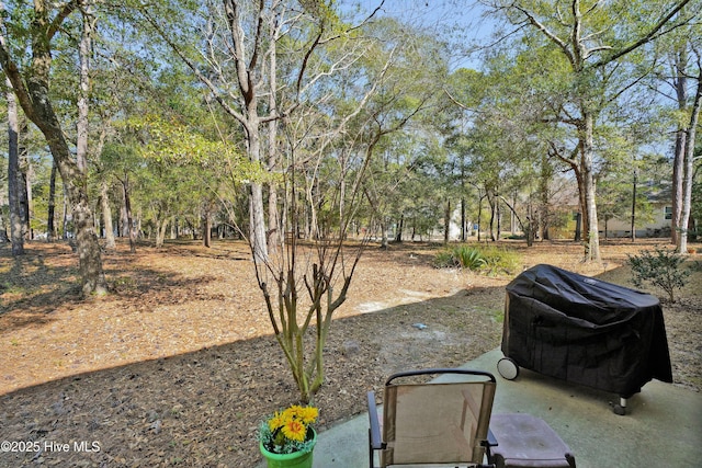 view of yard featuring a patio