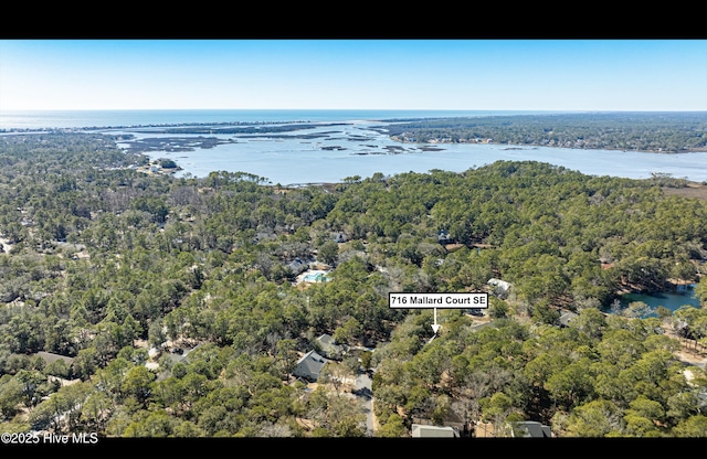 bird's eye view with a water view and a forest view