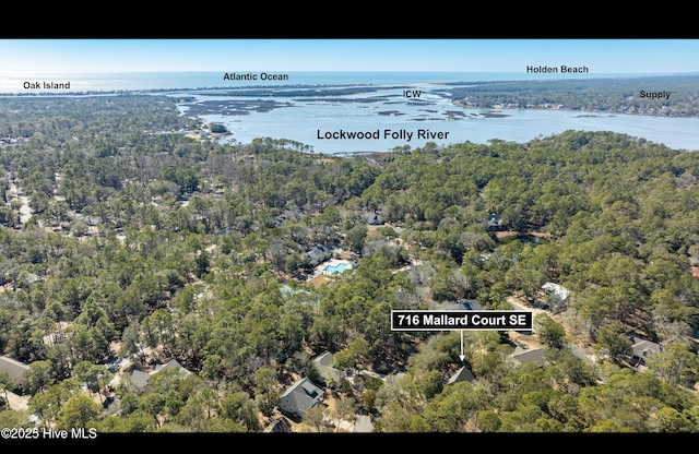 bird's eye view featuring a water view and a wooded view