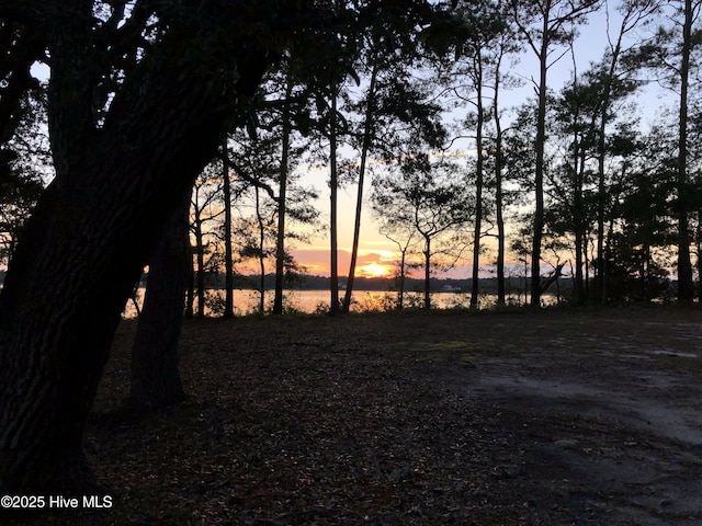 view of nature at dusk