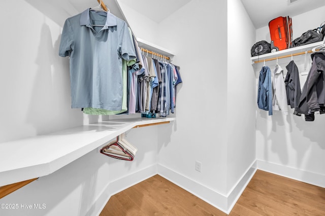 1066 Bradshaw Ter, Wilmington, NC 28412 - spacious closet with light wood-style floors
