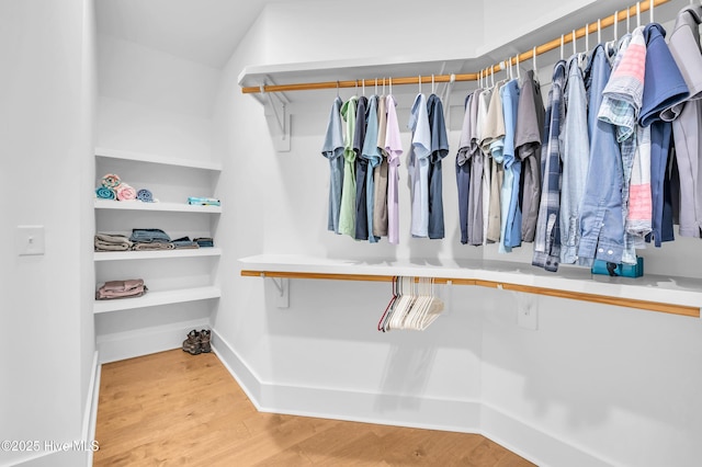 1066 Bradshaw Ter, Wilmington, NC 28412 - walk in closet featuring wood finished floors