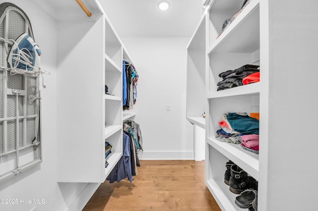 1066 Bradshaw Ter, Wilmington, NC 28412 - spacious closet featuring wood finished floors