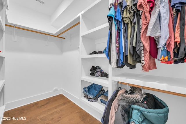 1066 Bradshaw Ter, Wilmington, NC 28412 - walk in closet featuring wood finished floors