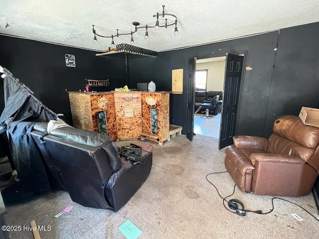 cinema room with a textured ceiling