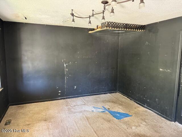 350 Randolphville Rd NE, Bolivia, NC 28422 - unfurnished room with carpet and a textured ceiling