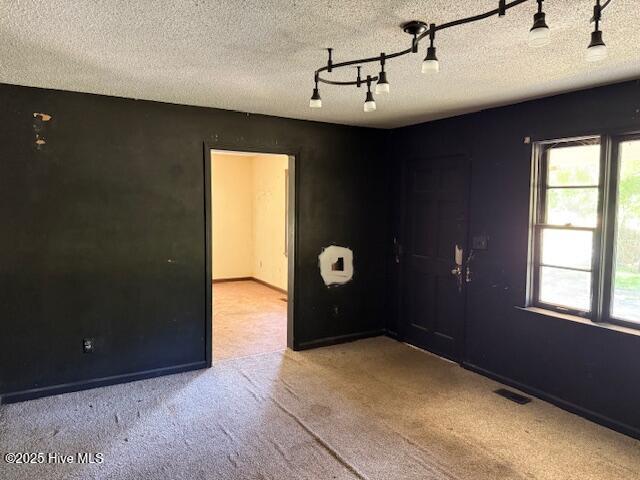 350 Randolphville Rd NE, Bolivia, NC 28422 - entryway with carpet floors, rail lighting, plenty of natural light, and visible vents