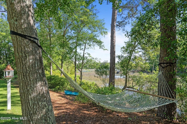 view of property's community