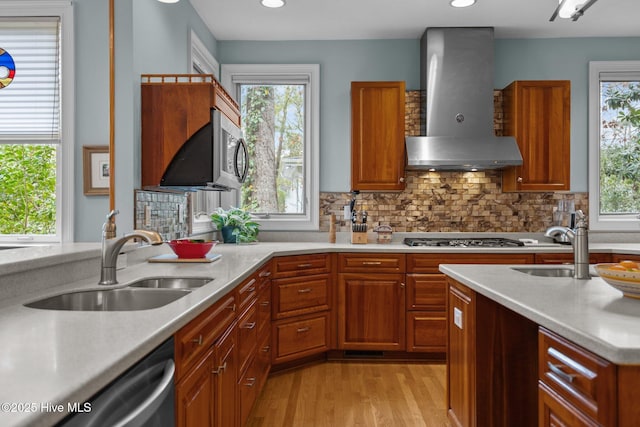 kitchen with wall chimney range hood, appliances with stainless steel finishes, light wood-type flooring, and a sink