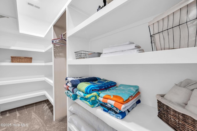 spacious closet with visible vents and carpet floors