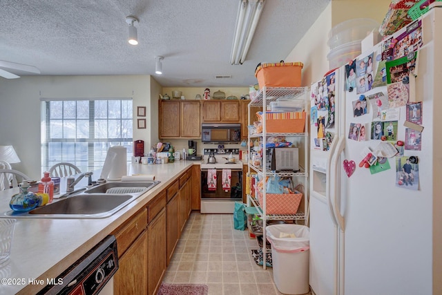 kitchen featuring light countertops, brown cabinetry, a sink, a textured ceiling, and white appliances