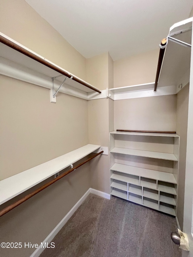 spacious closet featuring dark colored carpet