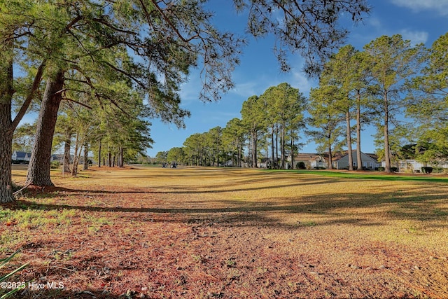 view of community featuring a yard
