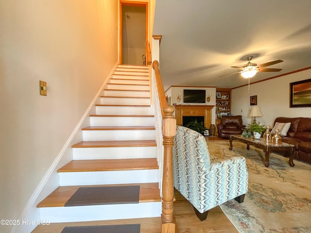 stairs with ceiling fan, a fireplace, wood finished floors, and crown molding