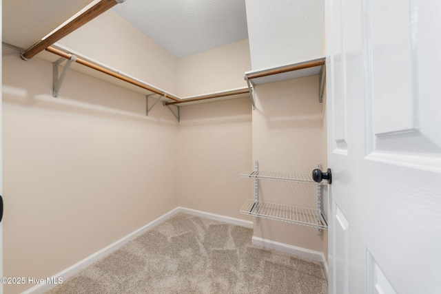 walk in closet featuring carpet flooring