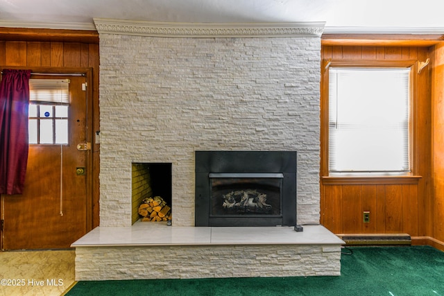 interior details with a fireplace with raised hearth, a baseboard heating unit, wood walls, and carpet flooring