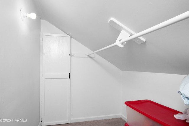 walk in closet featuring lofted ceiling and carpet flooring