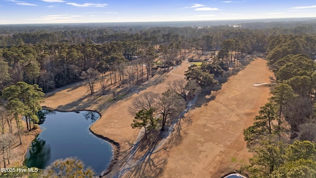 aerial view with a water view and a view of trees