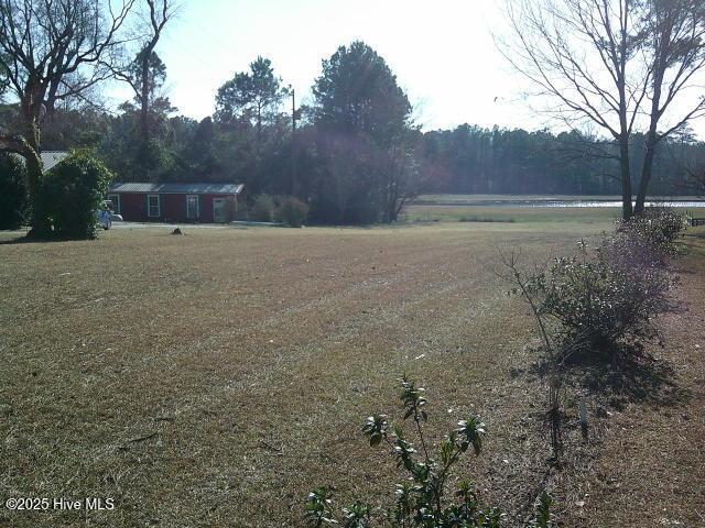 view of yard with a wooded view