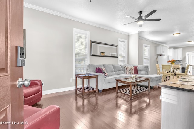 living area with a textured ceiling, baseboards, dark wood finished floors, and crown molding