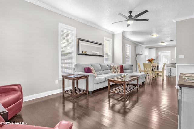 living room with a textured ceiling, baseboards, dark wood finished floors, and crown molding