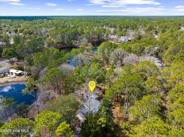 bird's eye view with a view of trees and a water view