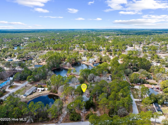 bird's eye view featuring a water view and a wooded view