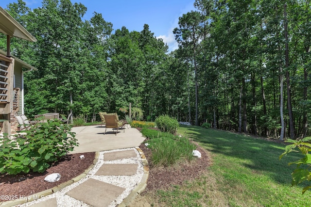 view of yard with a patio area