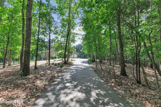 view of road with driveway