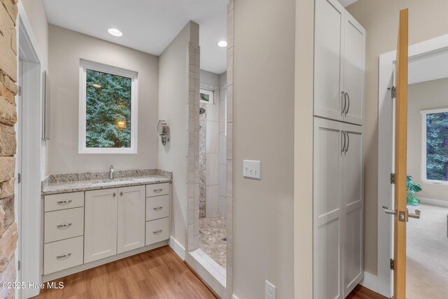 bathroom with a walk in shower, plenty of natural light, wood finished floors, and vanity